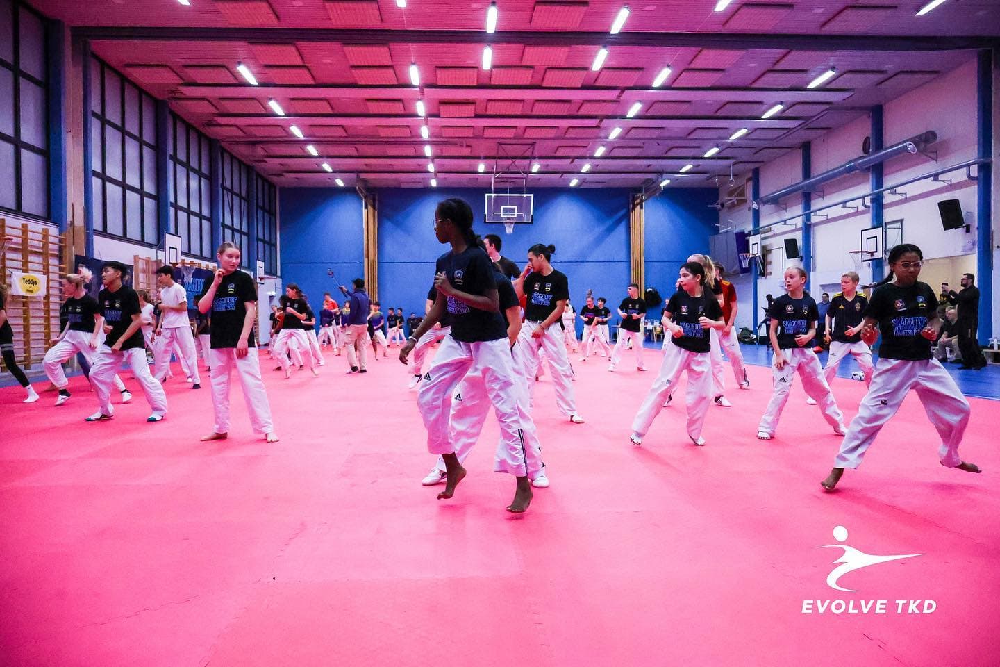 Aktivitetshuset Taekwondo