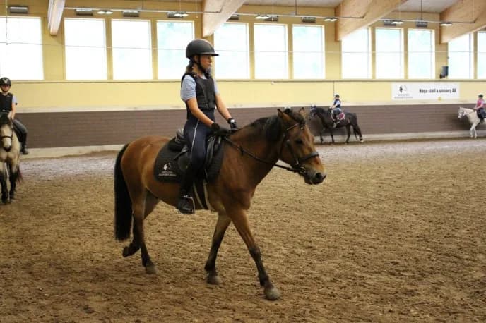 Sommarkollo på Smedstad Ridsportcenter