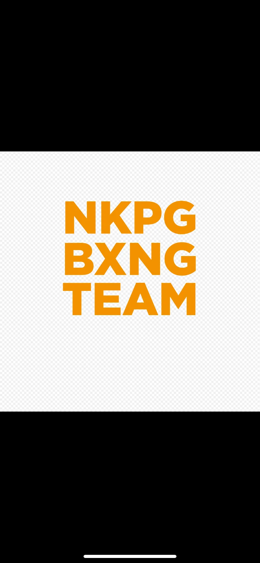 Norrköping Boxningsteam logotyp